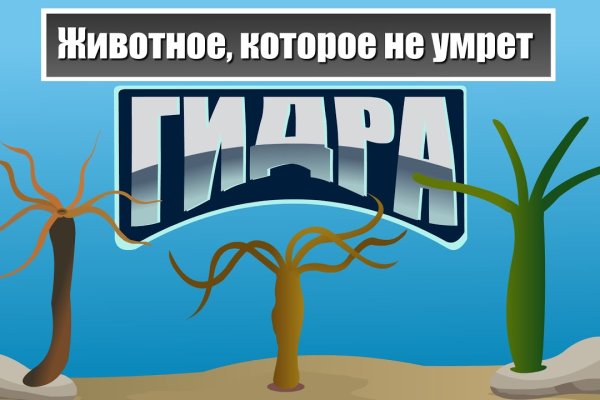 Кракен даркнет ссылка зеркало