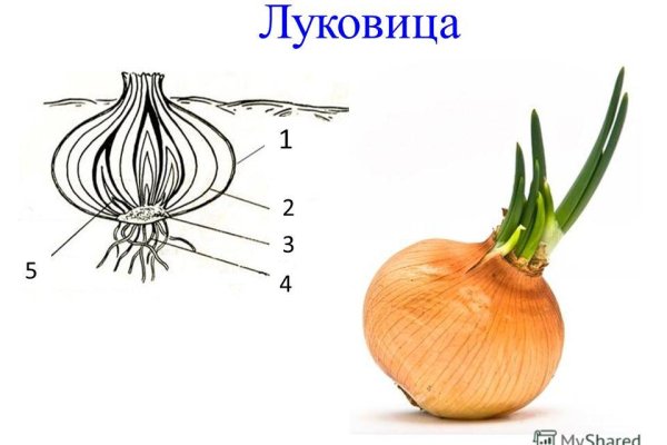 Kraken даркнет рынок
