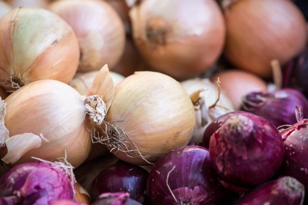Kraken tor marketplace